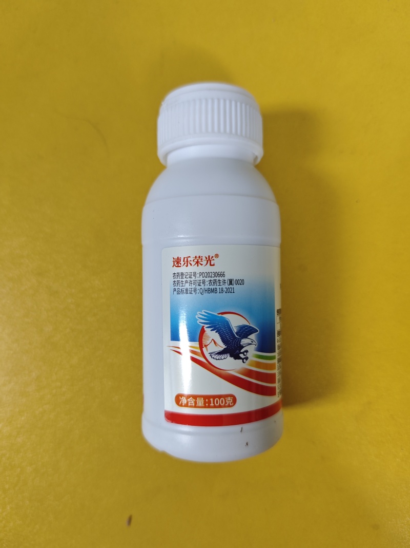 24%阿维氟啶专打蚜虫杀虫剂抗性蚜虫刺吸虫害原厂原证