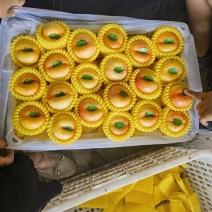 黄油蟠