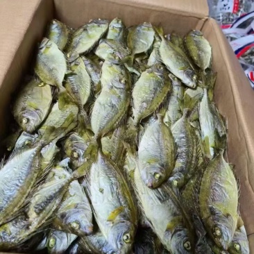 海产品干货样样有***********私