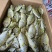 海产品干货样样有***********私