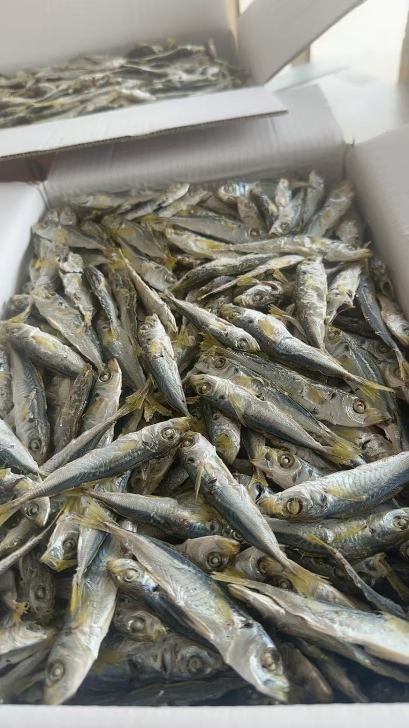 海产品干货样样有***********私
