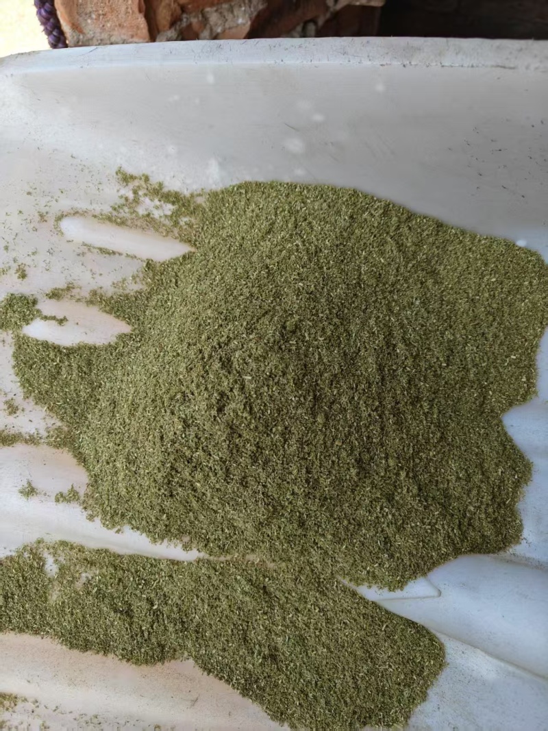 松针粉绿色畜牧养殖饲料添加剂细粉保质保量欢迎来电