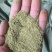 松针粉绿色畜牧养殖饲料添加剂细粉保质保量欢迎来电
