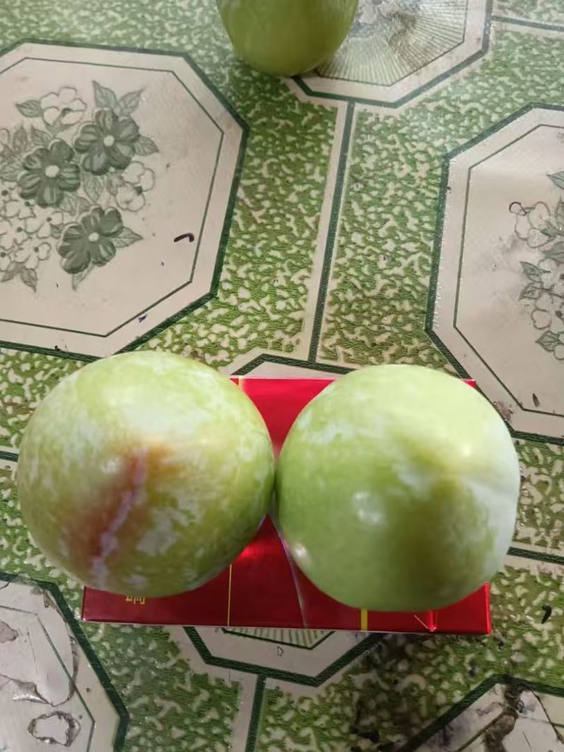 晋州雪花李子产地马上开始大量上市，需要的老板提前联系了