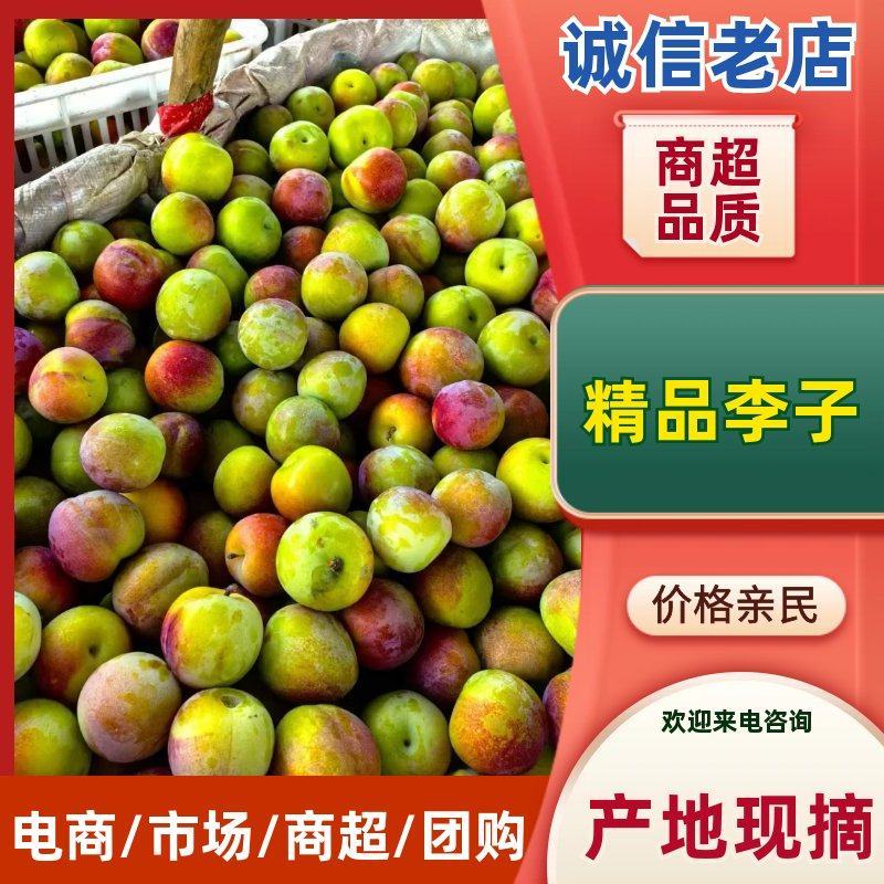 【湖北李子】澳洲红/五月脆/八宝丹/基地大量上市/欢迎来电