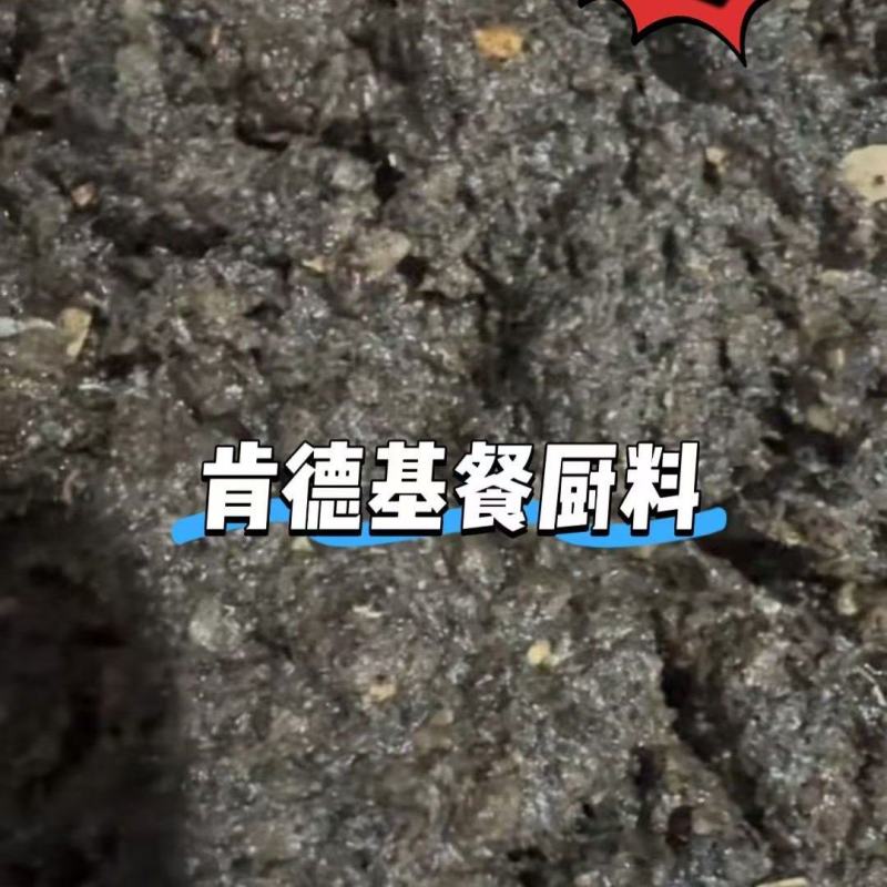 肯德基餐厨料，养殖专用。鸡鸭鹅鱼鸵鸟最合适，营养蛋白高