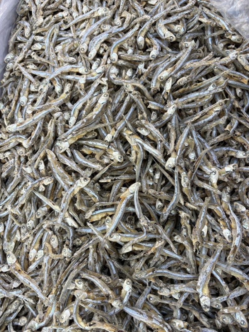 海燕鱼，干度好，好吃不咸，做菜煲汤都好吃