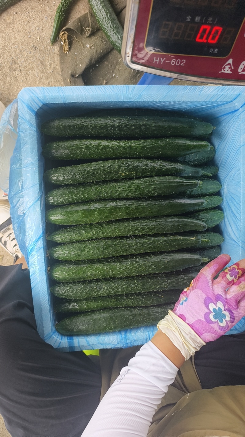 精品黄瓜