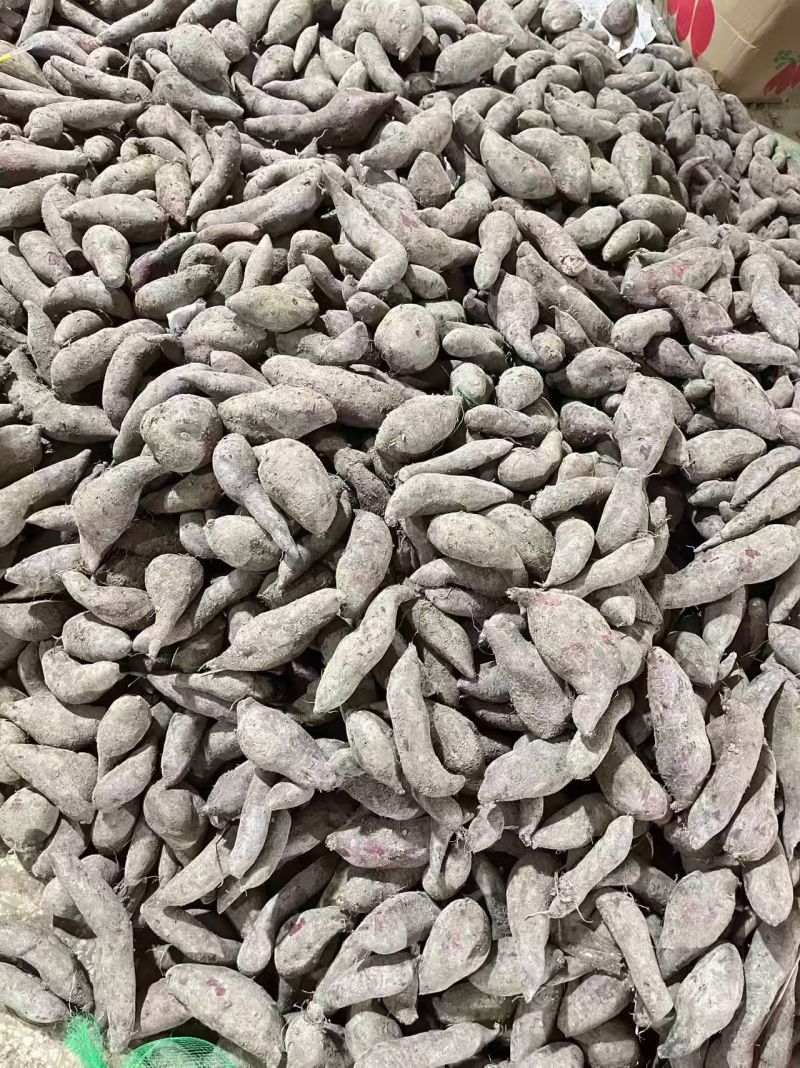 番薯红薯散装