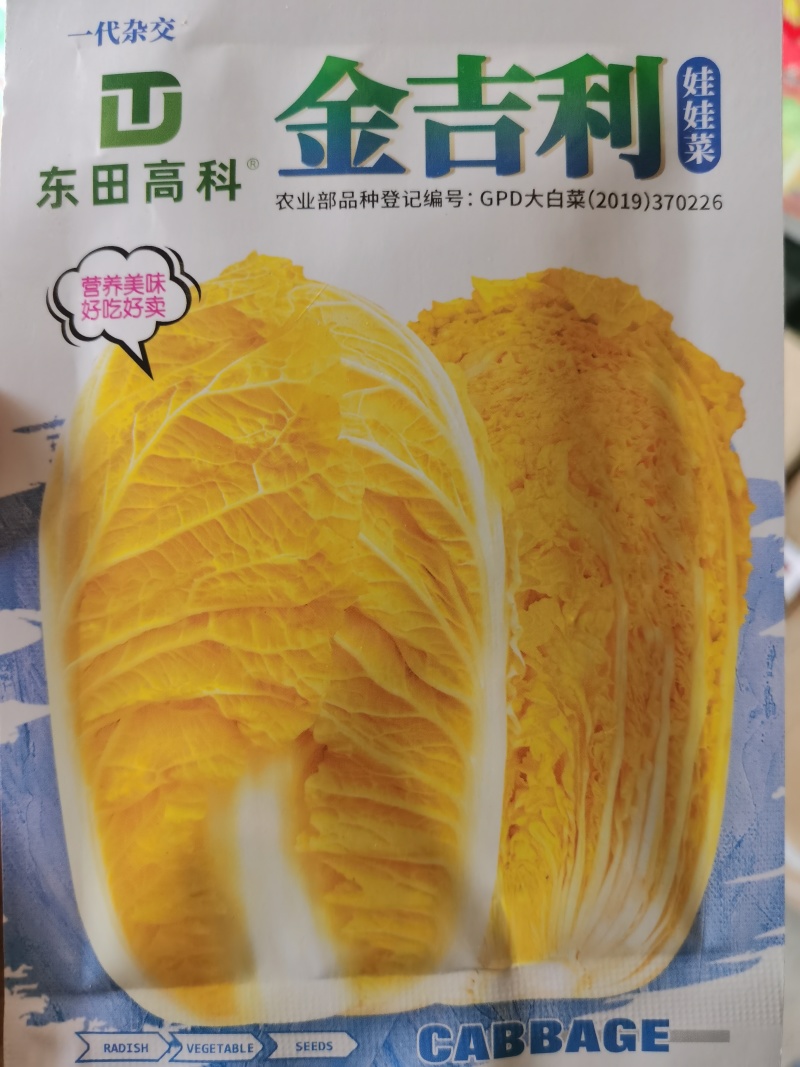 华耐042金吉利优质娃娃白菜种子