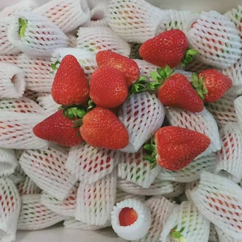 云南新鲜商用蒙特瑞,整箱现摘,冰糖葫芦奶茶果酱专用