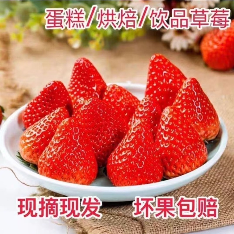 云南新鲜商用蒙特瑞,整箱现摘,冰糖葫芦奶茶果酱专用