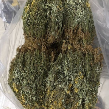岩黄连