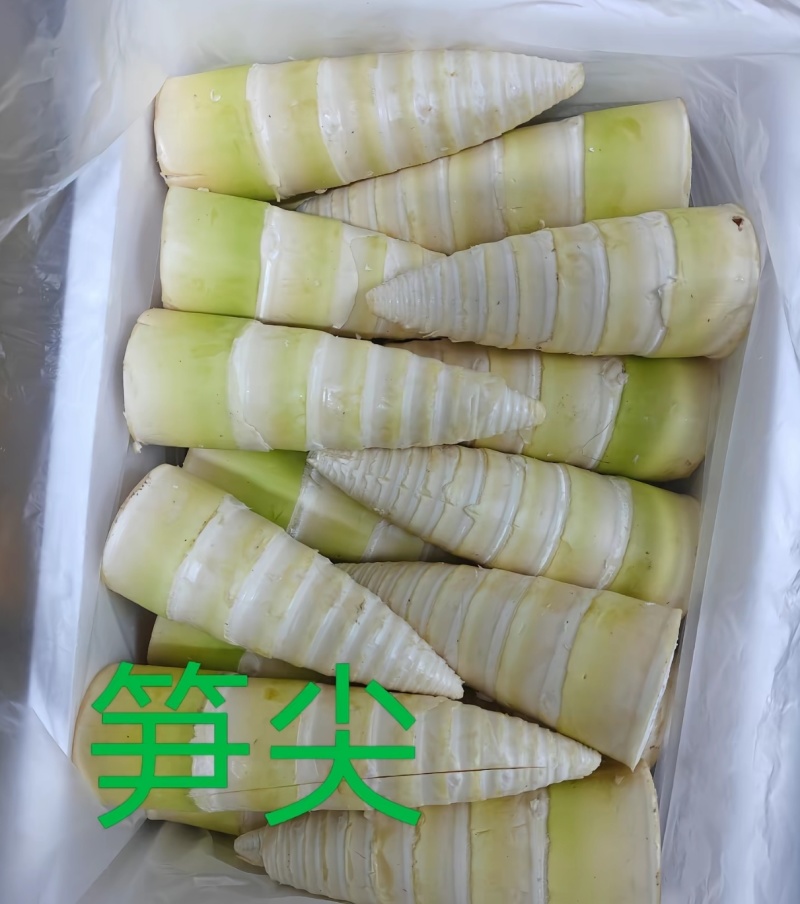 麻竹笋收购加工