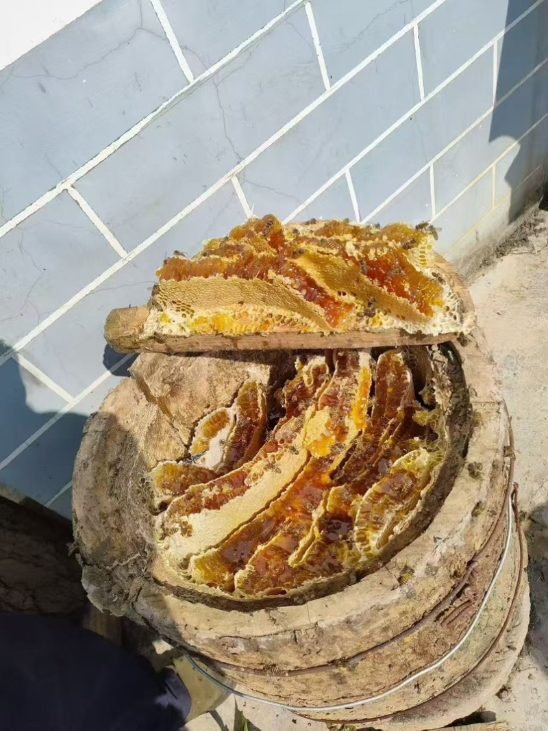 高山土蜂蜜自产自销正宗土蜂蜜营养价值高