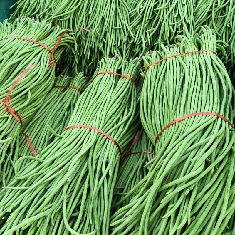 郑州市中牟县豆角上市了价格美丽质量好