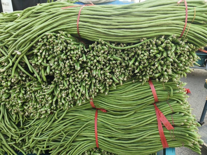 郑州市中牟县豆角上市了价格美丽质量好