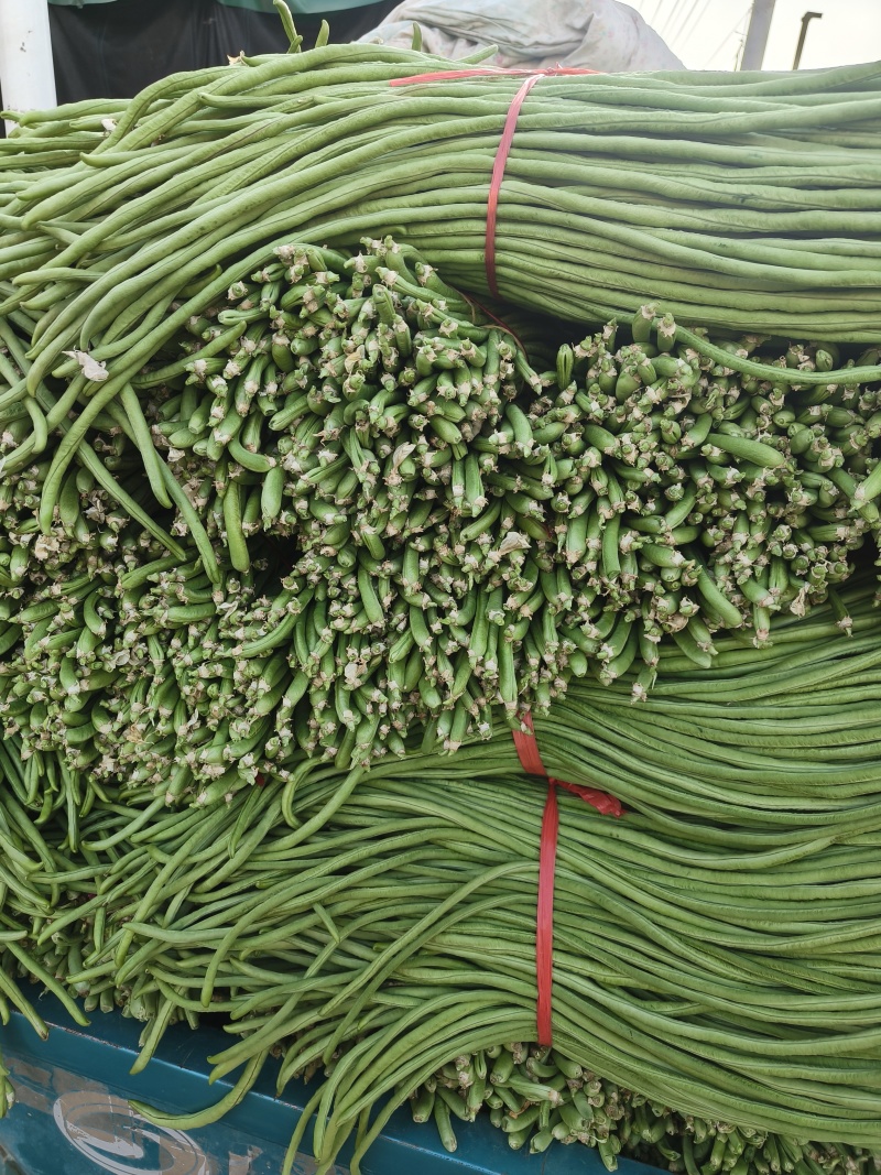 郑州市中牟县豆角上市了价格美丽质量好