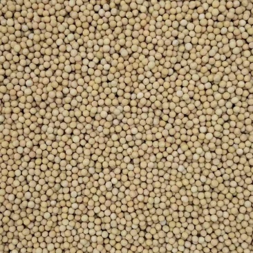 黄豆芽专用黄豆芽豆自产自销量大产地直发