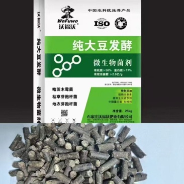 生物菌发酵大豆菌肥