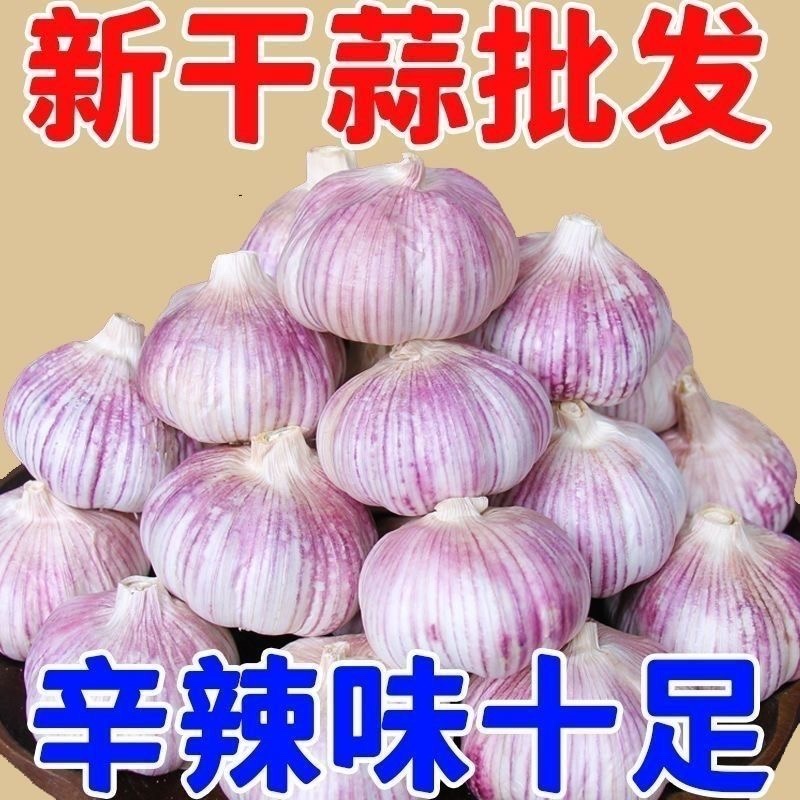 新大蒜干蒜支持全网一件代发价格美丽欢迎前来洽谈！