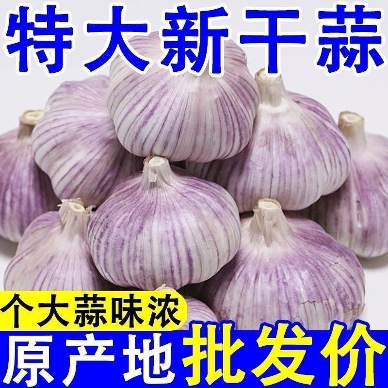新大蒜干蒜支持全网一件代发价格美丽欢迎前来洽谈！