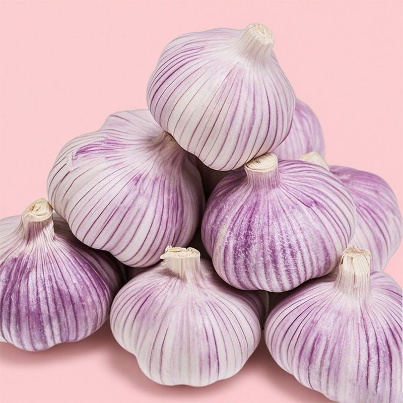 新大蒜干蒜支持全网一件代发价格美丽欢迎前来洽谈！
