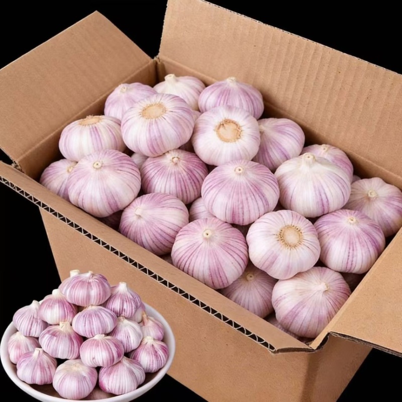新大蒜干蒜支持全网一件代发价格美丽欢迎前来洽谈！