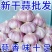 新大蒜干蒜支持全网一件代发价格美丽欢迎前来洽谈！