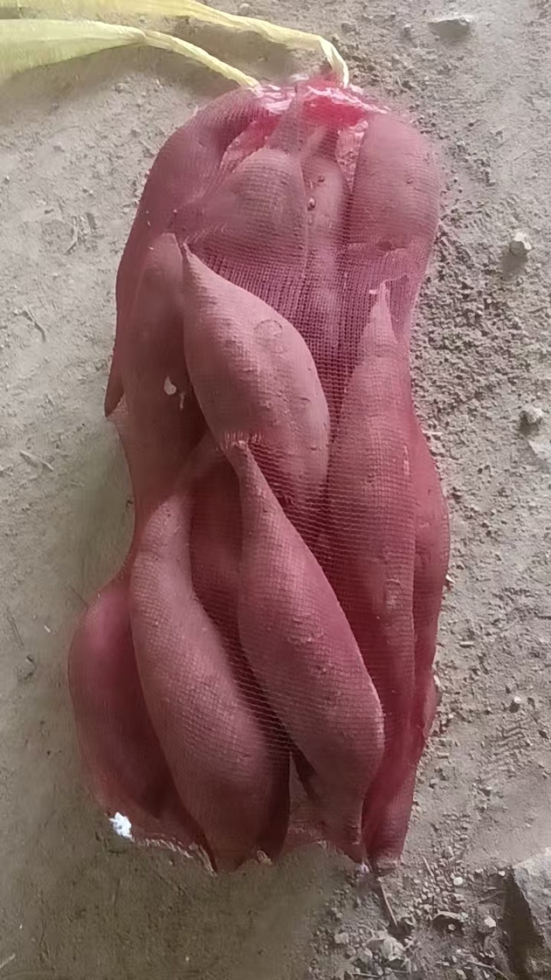 正宗海南榴莲蜜薯