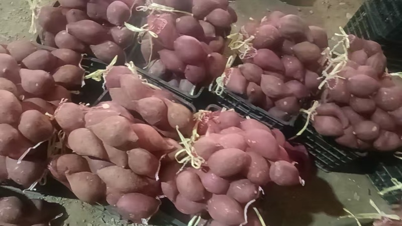 正宗海南榴莲蜜薯