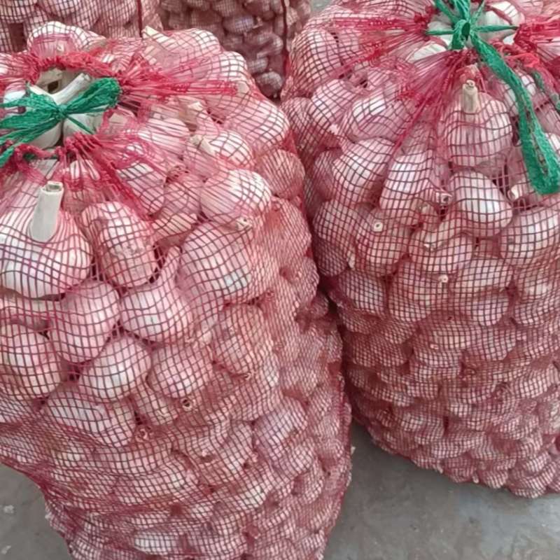 徐州丰县大蒜，场地直销直供，价格优惠欢迎咨询致电