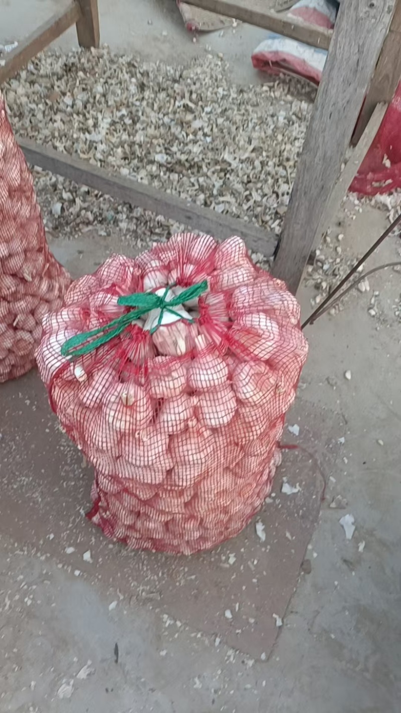 徐州丰县大蒜，场地直销直供，价格优惠欢迎咨询致电