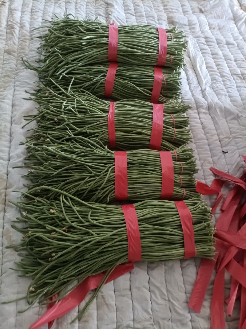 拱棚青条，白灰条豆角。大量上市，货量充足，可对接批发商，