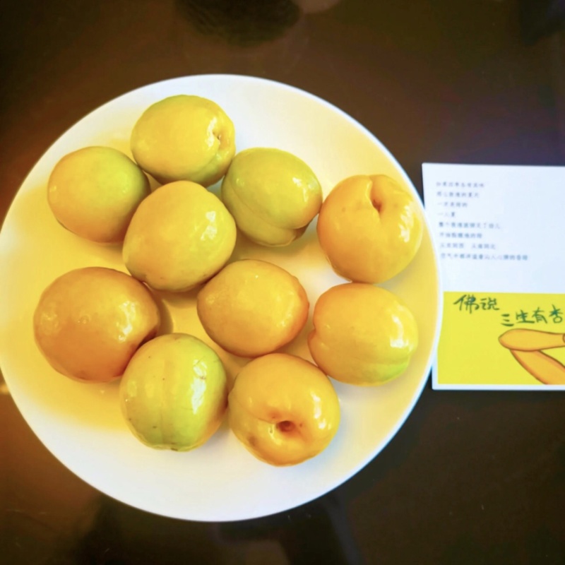 【精品】甘肃杏李广杏基地直供大量特惠供应一件代发