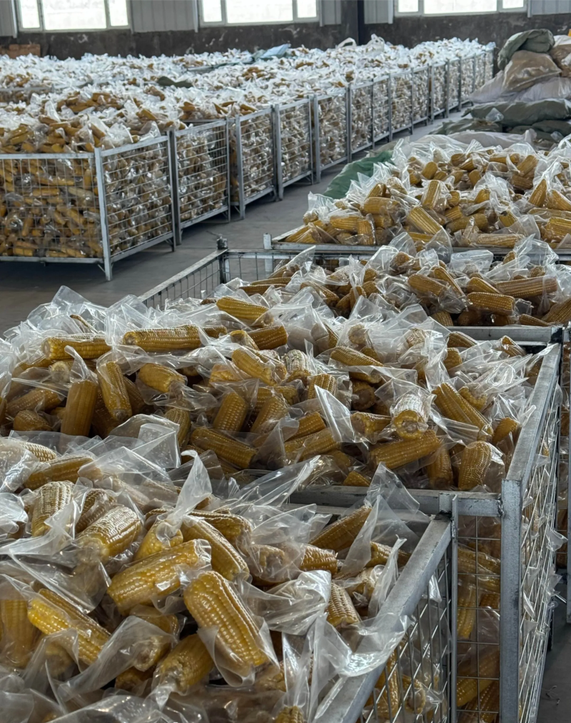 东北真空包装糯玉米，各大电商平台一件代发