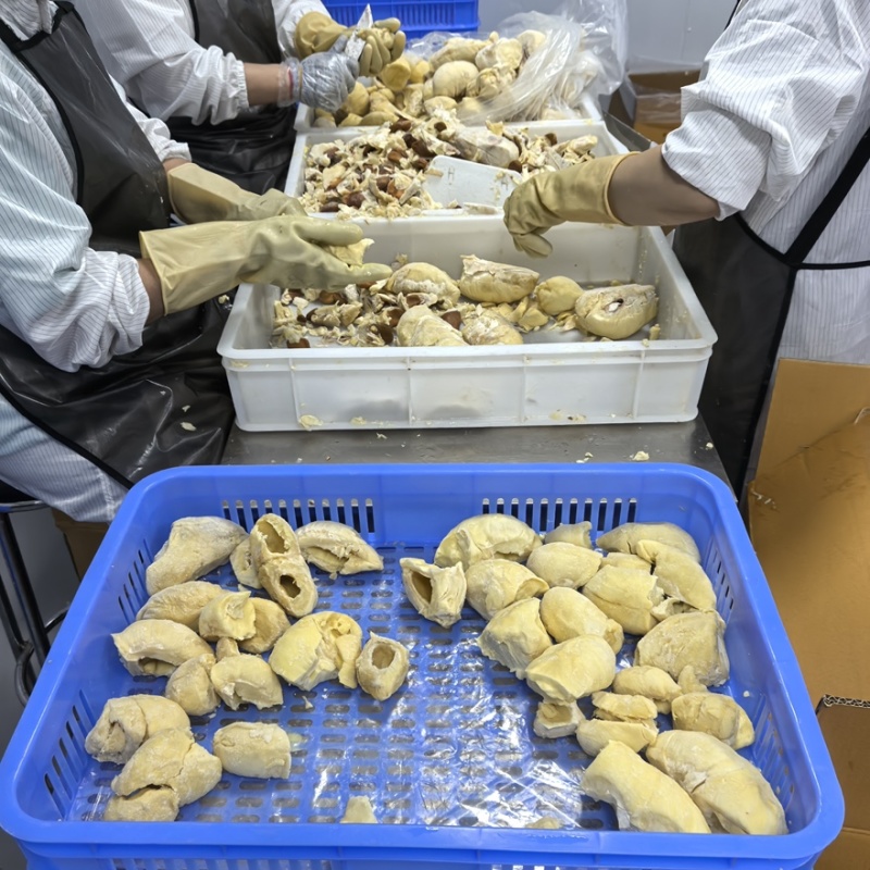 【烘焙出单快】精选金枕无核榴莲/冻榴莲肉/源头厂家