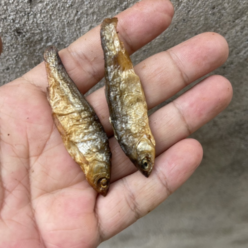 火焙烟熏烘干华子鱼干雅罗鱼肉多刺少无沙不苦