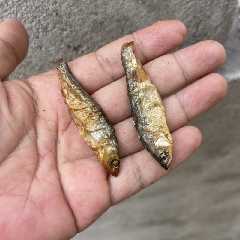 火焙烟熏烘干华子鱼干雅罗鱼肉多刺少无沙不苦