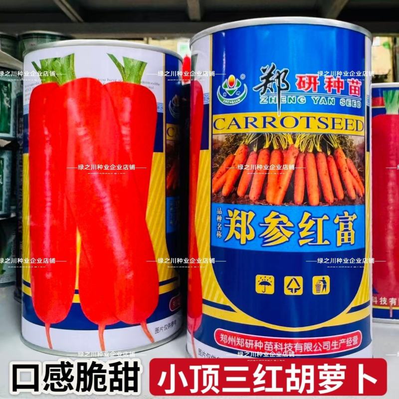 郑参红富小顶胡萝卜种子三红七寸胡萝卜种子脆甜可口秋季种籽