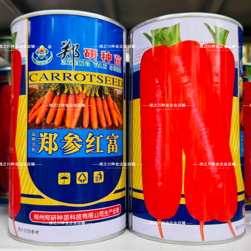 郑参红富小顶胡萝卜种子三红七寸胡萝卜种子脆甜可口秋季种籽