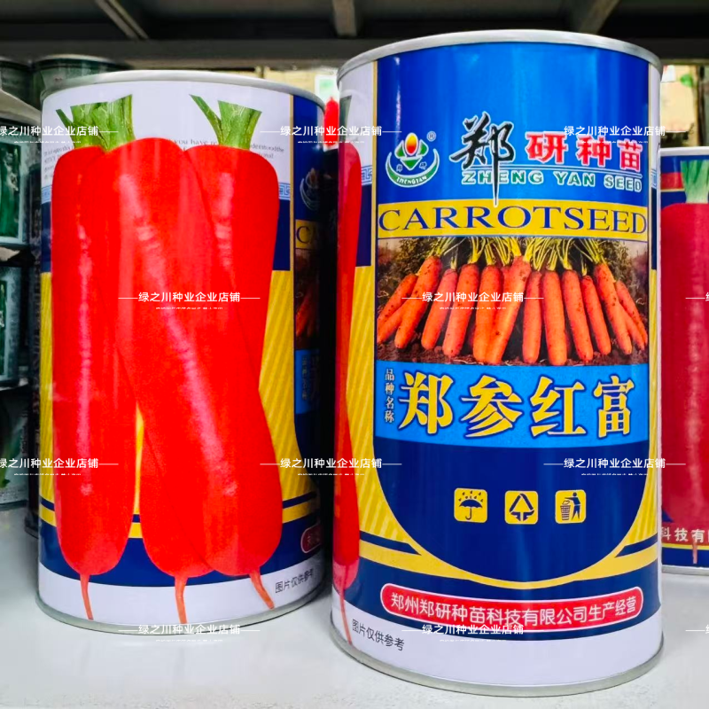 郑参红富小顶胡萝卜种子三红七寸胡萝卜种子脆甜可口秋季种籽