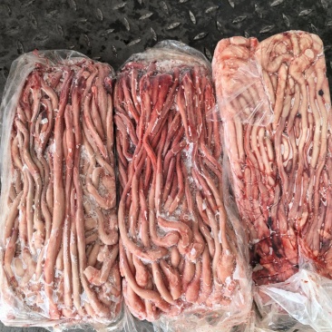 猪鞭一箱400条左右