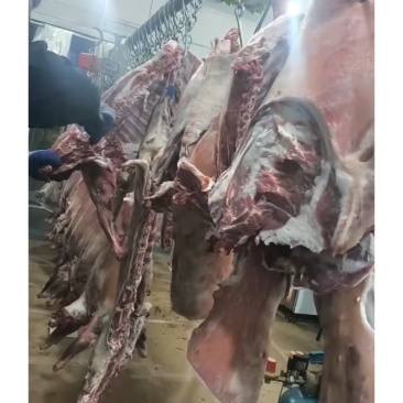 宁夏盐池滩羊肉农家散养现杀白条羊肉质鲜嫩冷链空运包邮