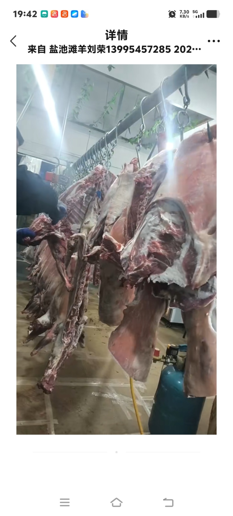宁夏盐池滩羊肉农家散养现杀白条羊肉质鲜嫩冷链空运包邮