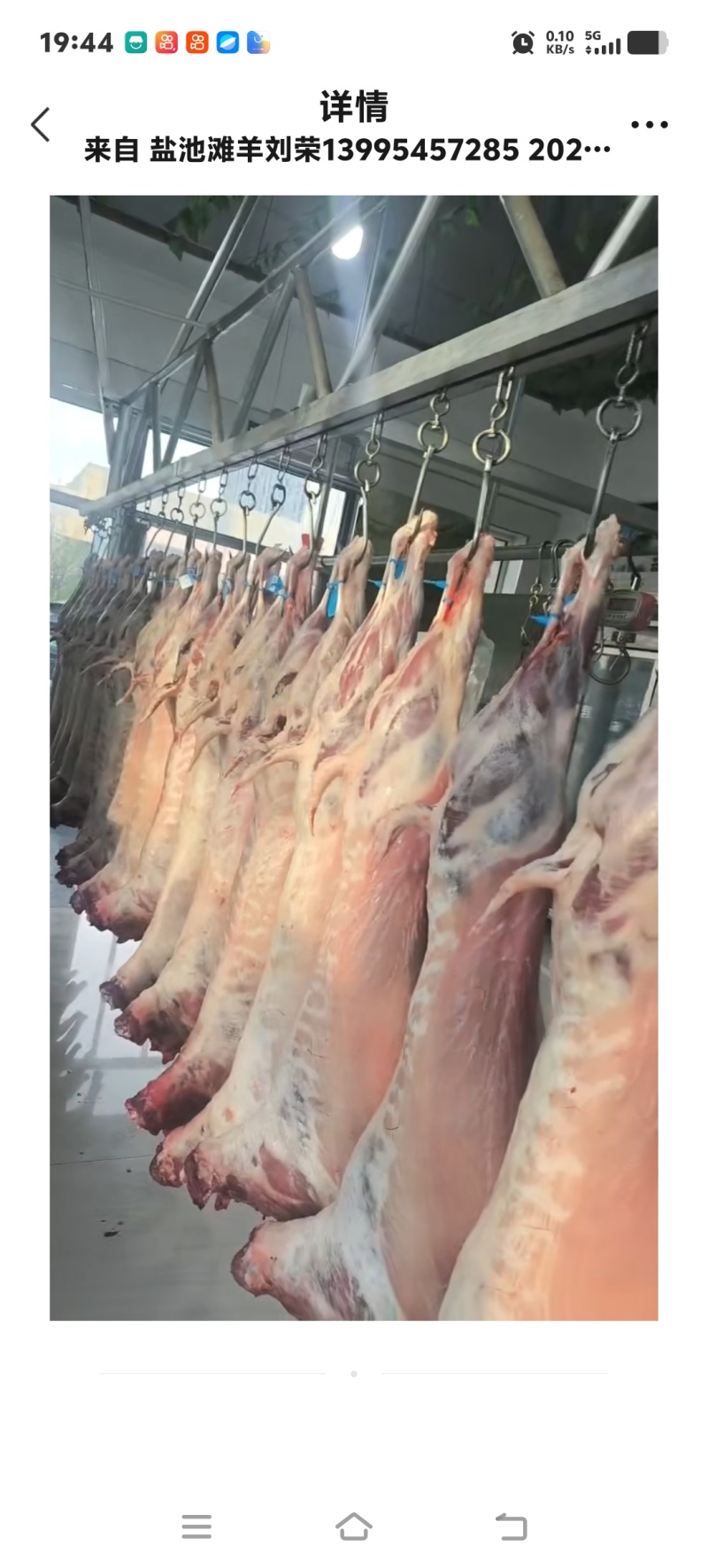 宁夏盐池滩羊肉农家散养现杀白条羊肉质鲜嫩冷链空运包邮