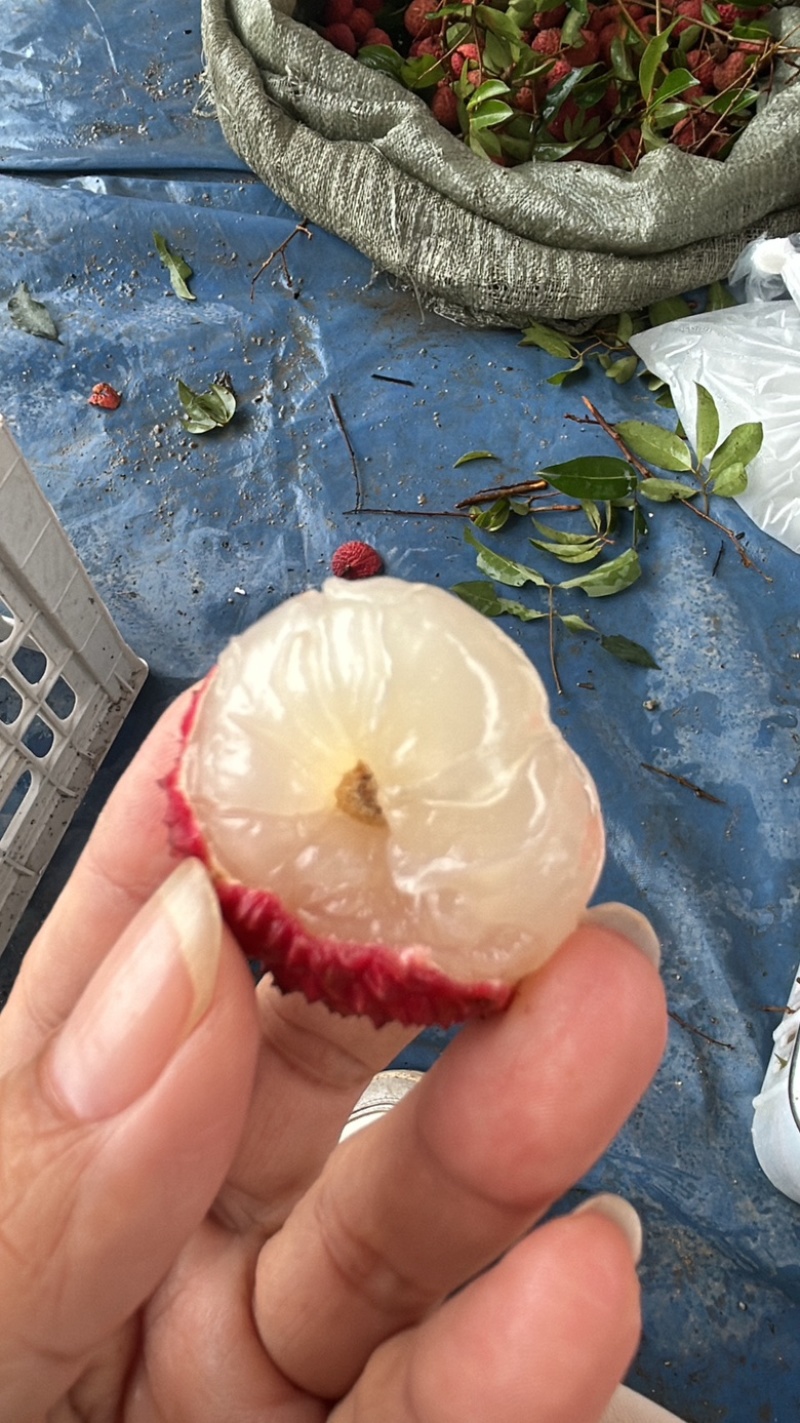 荔枝