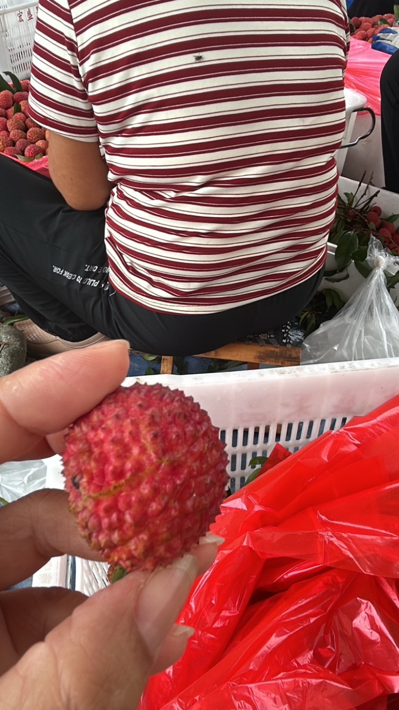 荔枝