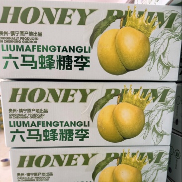 贵州六马马蜂糖李