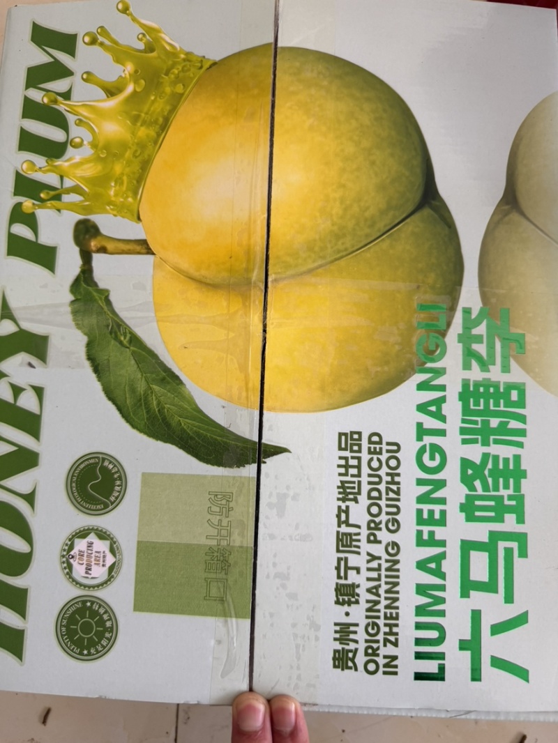 贵州六马马蜂糖李